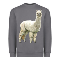 Storm Alpaca Heavyweight Sweatshirt - LillyAllenDesigns