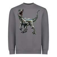 Storm Velociraptor Heavyweight Sweatshirt - LillyAllenDesigns