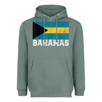 Sage Bahamas Flag Country Men Women Kids Christmas Gift Family Heavyweight Hoodie - longCreatives