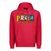Cardinal So Long Pre K Hello Summer Premium Hoodie - CowhideDigitalArt