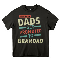 Only Great Dads Get Promoted To Grandad Heavy Core Tee | Teevron