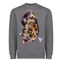 Storm Oscar Heavyweight Sweatshirt - LillyAllenDesigns
