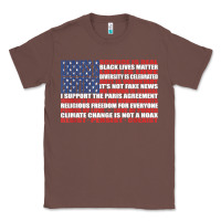 Chestnut political protest american flag   stand united t shirt Classic Tee - longCreatives