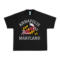 Black Annapolis Maryland Crab State Flag Home Travel Vintage Urban Heavy Tee - longCreatives