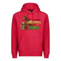 Cardinal All I Want For Christmas Is A Horse Premium Hoodie - LillyAllenDesigns
