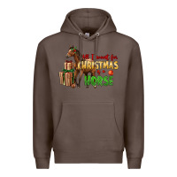 Coffee All I Want For Christmas Is A Horse Premium Hoodie - LillyAllenDesigns