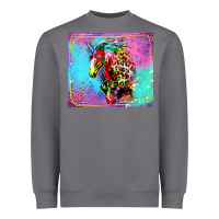 Storm Colorful Unicorn Horse Heavyweight Sweatshirt - LillyAllenDesigns