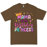 Cacao mama of the birthday princess Premium Tee - NancyCooperArtShop