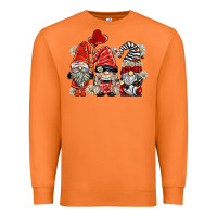 Carrot ladybug  gnomies Premium Sweatshirt - BarkalooDesign