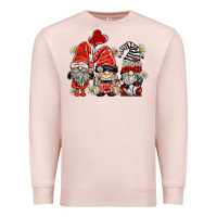 Pale Pink ladybug  gnomies Premium Sweatshirt - BarkalooDesign