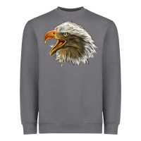 Storm Bald Head Eagle Heavyweight Sweatshirt - LillyAllenDesigns