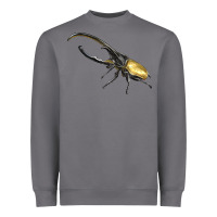 Storm Hercules Beetle Side Heavyweight Sweatshirt - LillyAllenDesigns