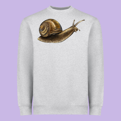 Snail Heavyweight Sweatshirt Designed By Lillyallendesigns