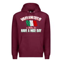 Burgundy Vaffanculo Have A Nice Day  Funny Italian Premium Hoodie - longCreatives