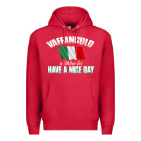 Cardinal Vaffanculo Have A Nice Day  Funny Italian Premium Hoodie - longCreatives