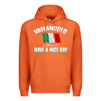 Carrot Vaffanculo Have A Nice Day  Funny Italian Premium Hoodie - longCreatives