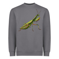 Storm mantis Heavyweight Sweatshirt - LillyAllenDesigns