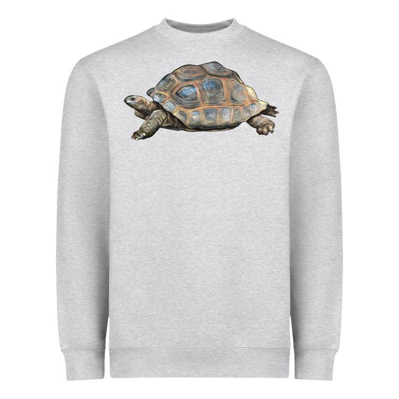 Tortoise Illustrations Heavyweight Sweatshirt by LillyAllenDesigns | Teevron