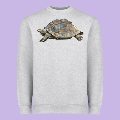 Tortoise Illustrations Heavyweight Sweatshirt Designed By Lillyallendesigns