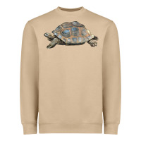 Mushroom Tortoise Illustrations Heavyweight Sweatshirt - LillyAllenDesigns