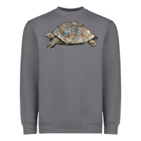 Storm Tortoise Illustrations Heavyweight Sweatshirt - LillyAllenDesigns