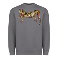 Storm Gecko Lizard Illustrations Heavyweight Sweatshirt - LillyAllenDesigns