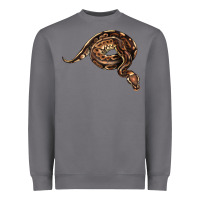 Storm Royal Ball Python Illustrations Heavyweight Sweatshirt - LillyAllenDesigns