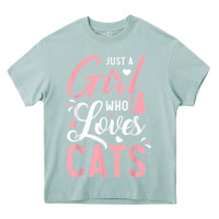 Arona just a girl who loves cats cute cat lover gifts Heavy Core Tee - longCreatives