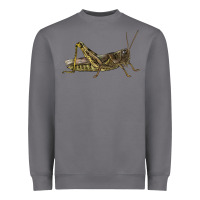 Storm Grasshopper Heavyweight Sweatshirt - LillyAllenDesigns