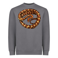 Storm Corn Snake Illustrations Heavyweight Sweatshirt - LillyAllenDesigns