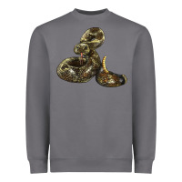 Storm Rattlesnake Heavyweight Sweatshirt - LillyAllenDesigns