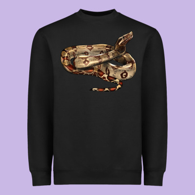 Red Tail Boa Snake Heavyweight Sweatshirt Designed By Lillyallendesigns