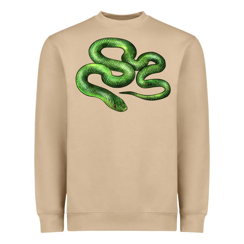 Boomslang Snake Heavyweight Sweatshirt by LillyAllenDesigns | Teevron