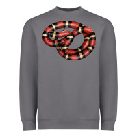 Storm milk snake Heavyweight Sweatshirt - LillyAllenDesigns