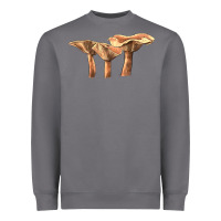 Storm lactarius rufus mushroom Heavyweight Sweatshirt - LillyAllenDesigns