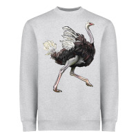 Heather Grey Ostrich Heavyweight Sweatshirt - LillyAllenDesigns