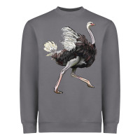 Storm Ostrich Heavyweight Sweatshirt - LillyAllenDesigns