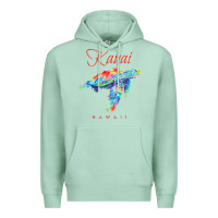 Seafoam kauai hawaii watercolor sea turtle souvenir Premium Hoodie - longCreatives