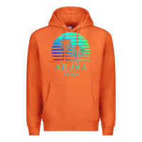 Carrot Vintage Aruba Beach Tropical Vibes Vacation Souvenir Gift Premium Hoodie - longCreatives