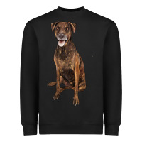 Black plott hound Heavyweight Sweatshirt - LillyAllenDesigns