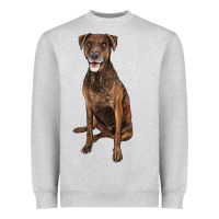 Heather Grey plott hound Heavyweight Sweatshirt - LillyAllenDesigns