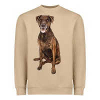 Plott Hound Heavyweight Sweatshirt | Teevron
