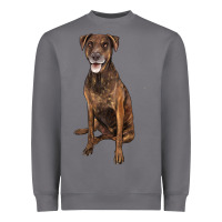 Storm plott hound Heavyweight Sweatshirt - LillyAllenDesigns