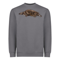 Storm Platypus Heavyweight Sweatshirt - LillyAllenDesigns