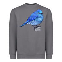 Storm Mountain Bluebird Heavyweight Sweatshirt - LillyAllenDesigns