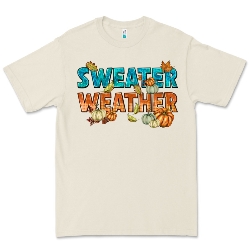 Weather Premium Tee by texasbilliewilder | Teevron