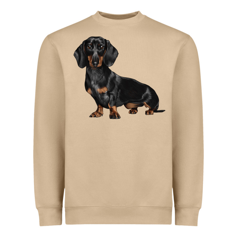 Dachshund Dog Illustrations Heavyweight Sweatshirt by LillyAllenDesigns | Teevron