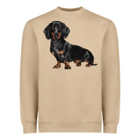 Mushroom Dachshund Dog Illustrations Heavyweight Sweatshirt - LillyAllenDesigns