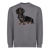 Storm Dachshund Dog Illustrations Heavyweight Sweatshirt - LillyAllenDesigns