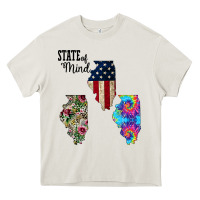 Im In A Fishing State Of Mind Illinois Heavy Core Tee | Teevron